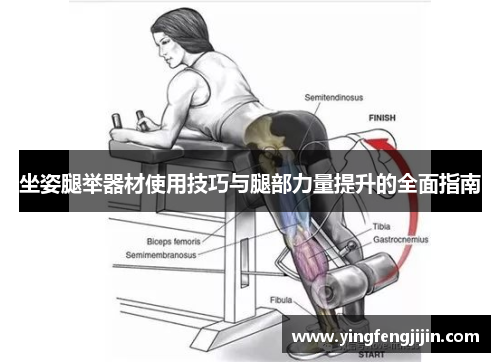 坐姿腿举器材使用技巧与腿部力量提升的全面指南