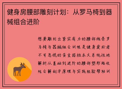 健身房腰部雕刻计划：从罗马椅到器械组合进阶