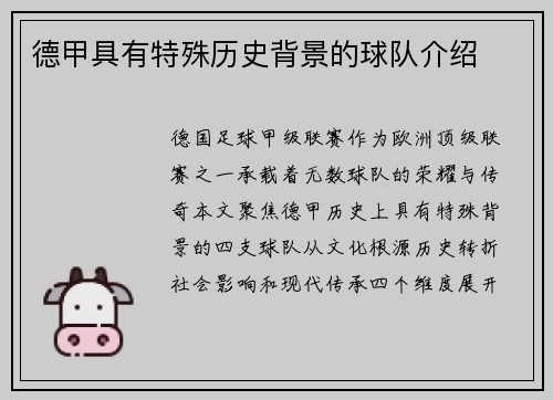 德甲具有特殊历史背景的球队介绍